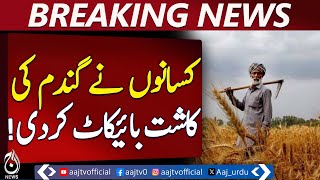 Wheat Cultivation Boycott Arifwala | Farmers Protest Low Prices | Agriculture Crisis Pakistan