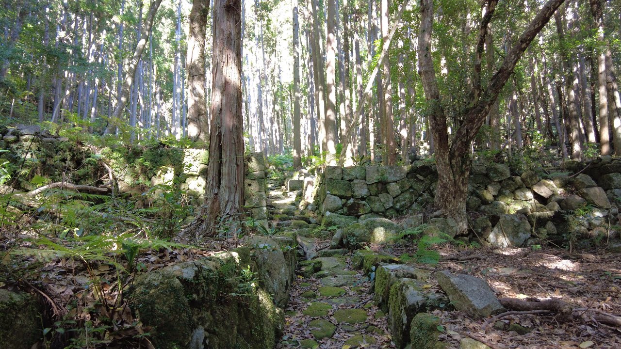 元盛松｜不便さや将来性の低さから昭和の初めに廃村となった地、元盛松(もとさがりまつ)集落跡探索　尾鷲市盛松