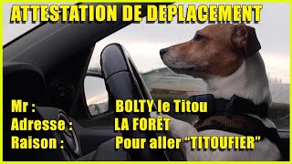 Loisirs de confinement, léducation de BOLTY