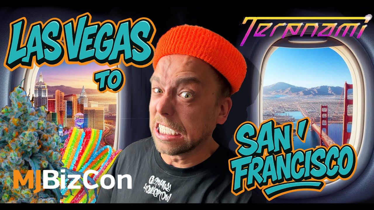 🍁BLUNTS | ROSIN | RICH SISTERS UND GUTE LAUNE | V-log Teil 1 von 3