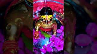 मैया मुझे 😒बारिश🌧️ में ही नहाना है ❤️…#mereladdugopal #gopal #krishna #madhav#morning #viral#video