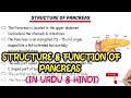 Structure and function of Pancreas.Easy &amp; brief explanation in urdu &amp; Hindi#pancreas#knowledge#notes