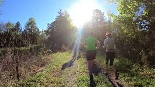 Virtual Treadmill Run: True to the Brew - Full 10k Trail Race