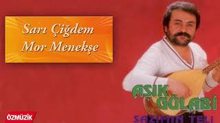 Aşık Gülabi - Sarı Çiğdem Mor Menekşe Resimi