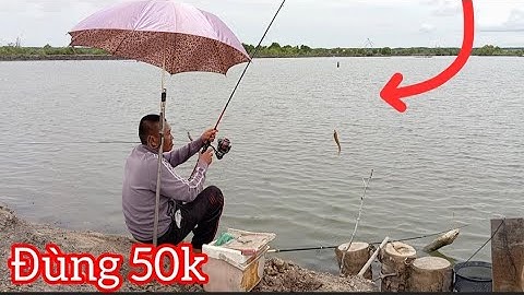 Câu Bống Đục ở Đùng 50k Toàn cá To | Mỹ Xuân BRVT Câu cá thiên nhiên