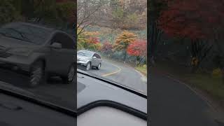 보발재 단풍               2024년 11월 12일