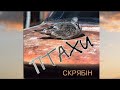 Птахи|Скрябін|Птахи 1995 р.|#слухай_українське