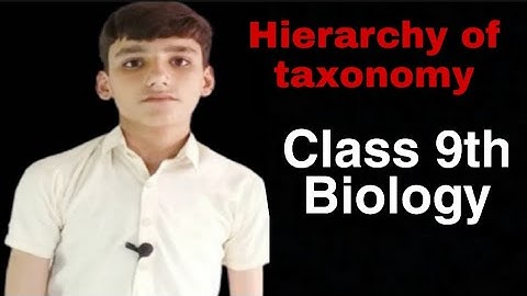 Hierarchy Of Taxonomy _-_ what is taxonomy _-_ Class 9th Biology _-_ Explaination in urdu/hindi _-_