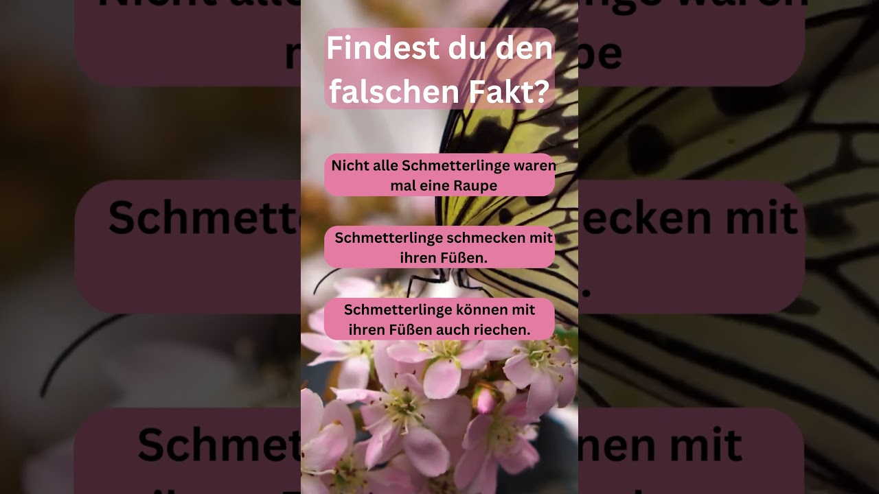Nur wahre Experten erkennen den falschen Fakt! 