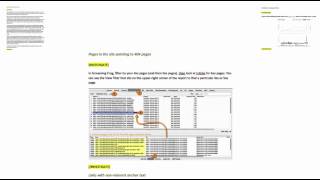 Annielytics Site Audit Template @Annielytics