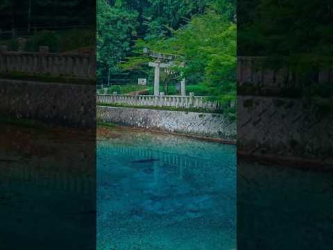 📍山口県美祢市 秋芳町 別府弁天池/ Beppu Benten Pond,Yamaguchi, Japan
