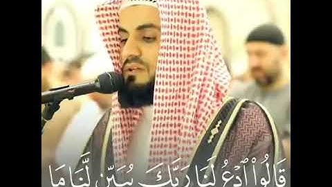 الشيخ رعد الكردي تلاوة القرآن