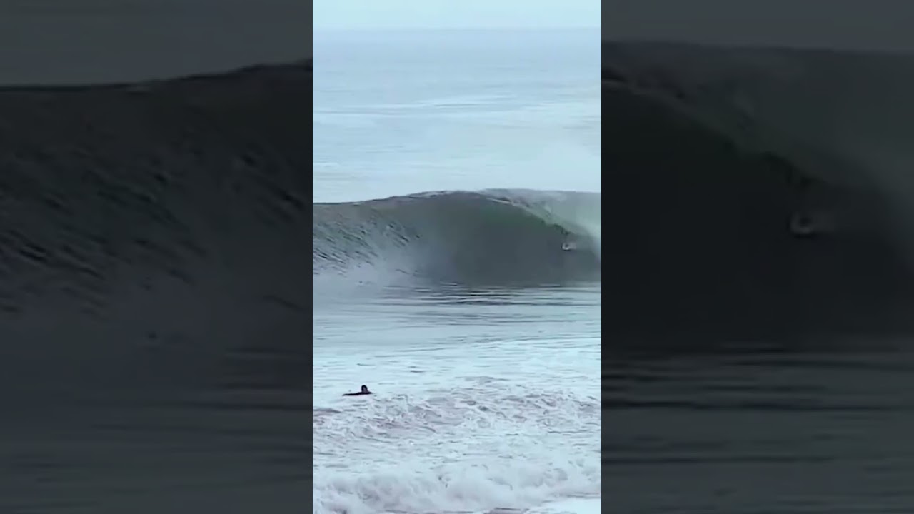 Clips