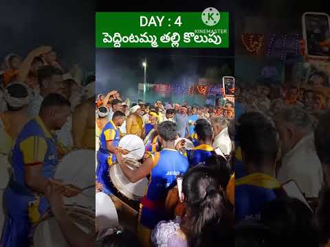 DAY : 4 పెద్దింటమ్మ తల్లి కొలుపులు| MAIN KOLUPU  #ytshorts#ammavaru #kolupulu  #trending #viral