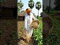🚲 Desi Bicycle Flour Mill Machine 🌾 | Amazing Indian Farmer Jugaad Atta Chakki