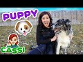 Educational Video for Kids - Cassi Plays with a Puppy - Learning for Toddlers