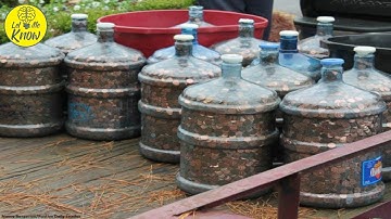 This Guy Saved Pennies For 45 Years  Then He Cashed Them In – And Their Total Is Astounding