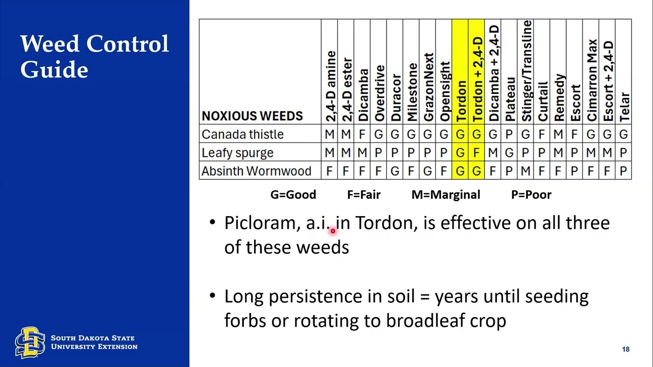 2026 Crop Hour: 7 января - Борьба с сорняками на пастбищах, при выращивании специализированных ку...
