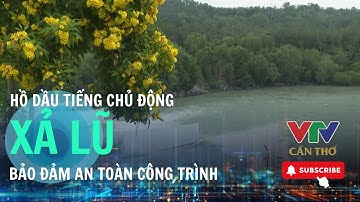Tây Ninh: Hồ Dầu Tiếng chủ động xả lũ khi mực nước đạt đỉnh | VTV CẦN THƠ