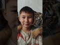 тигрлар