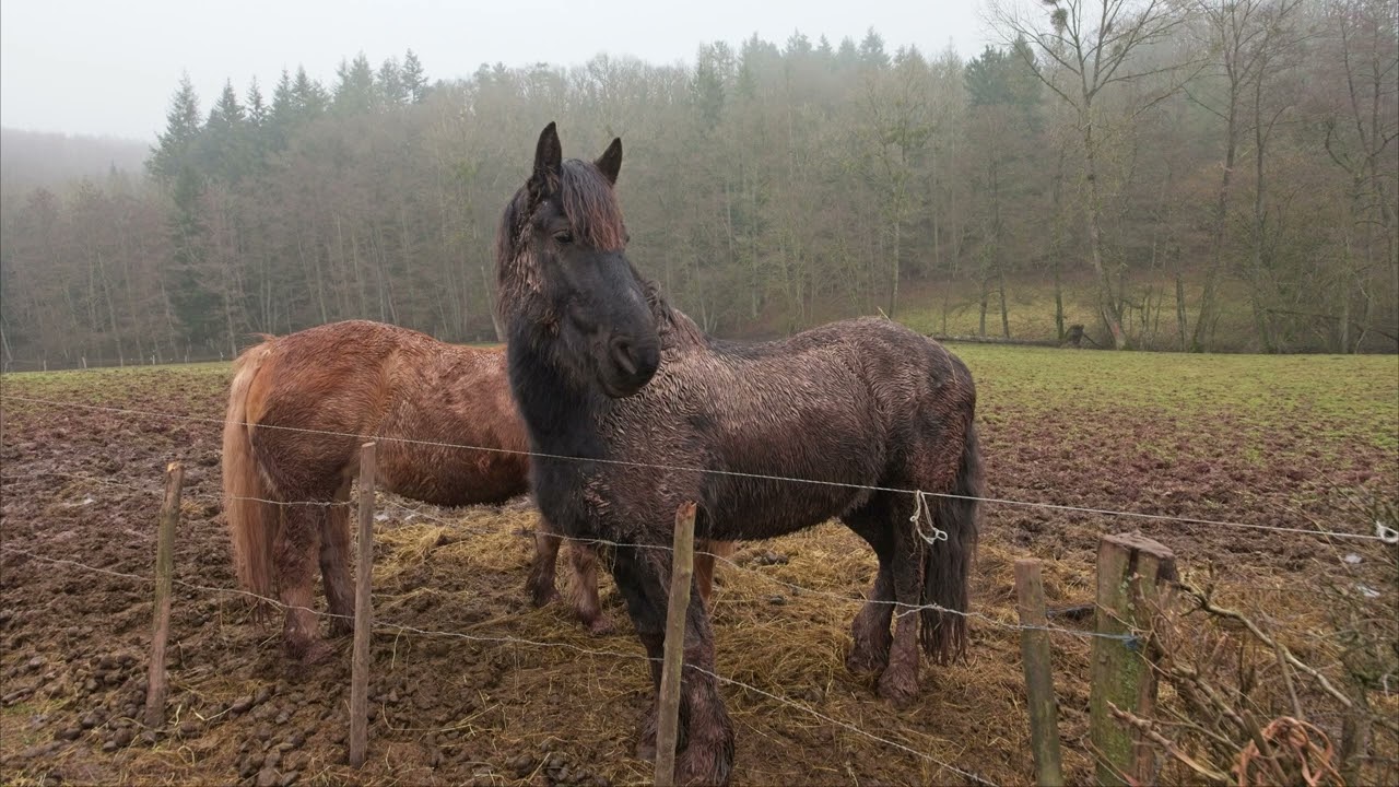Wandelweekend in Nassogne