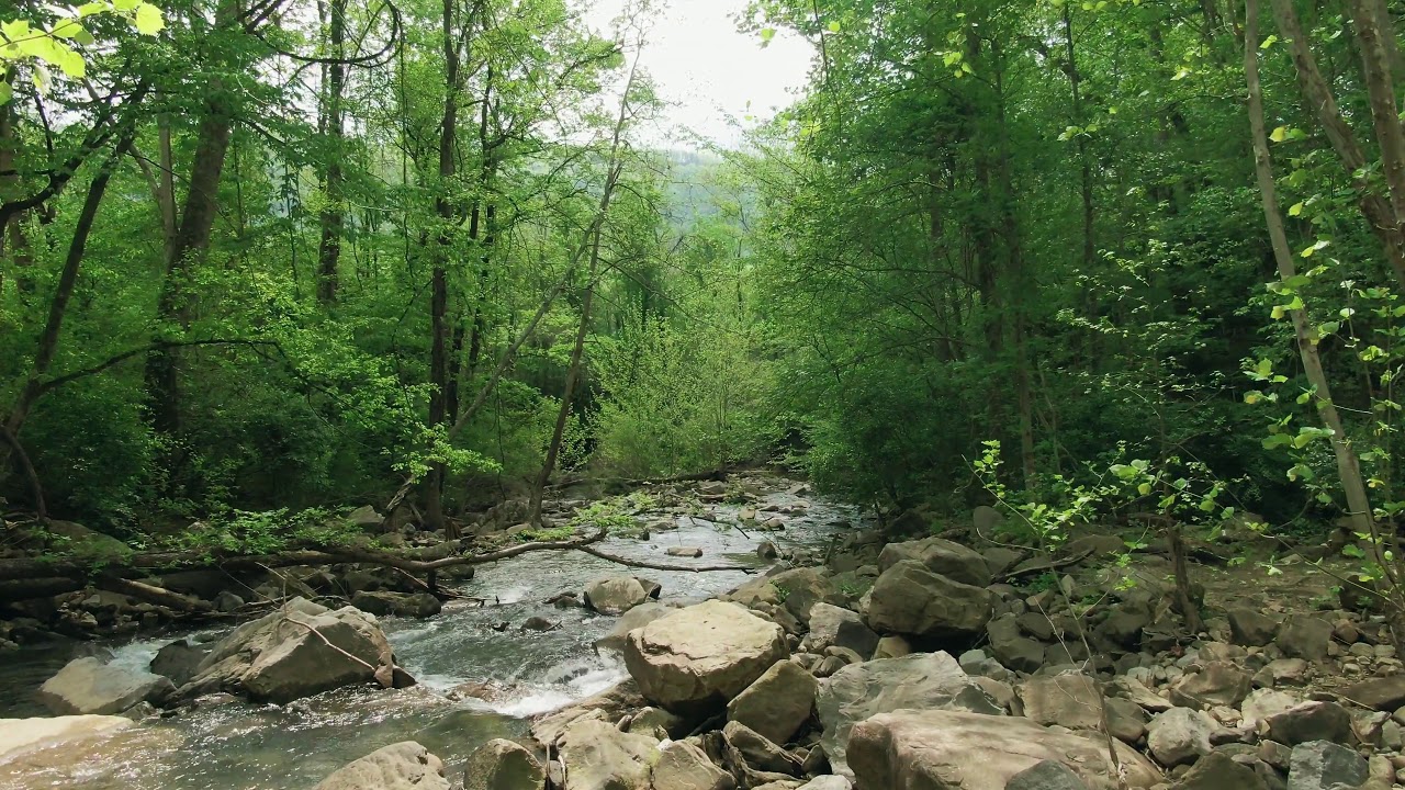 RELAXING RIVER SOUNDS-PEACEFUL FOREST RIVER FOR MEDITATION AND SLEEPING ...