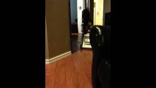 20140130 174556