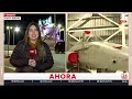 24 Horas Central - Jueves 24 de septiembre 2026
