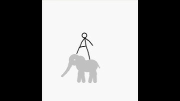 pivot elephant fight