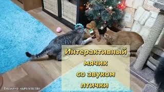 Котейки тестят интерактивный мячик