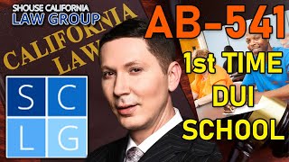 AB541 - 1st Time DUI School - Do I have to attend?
