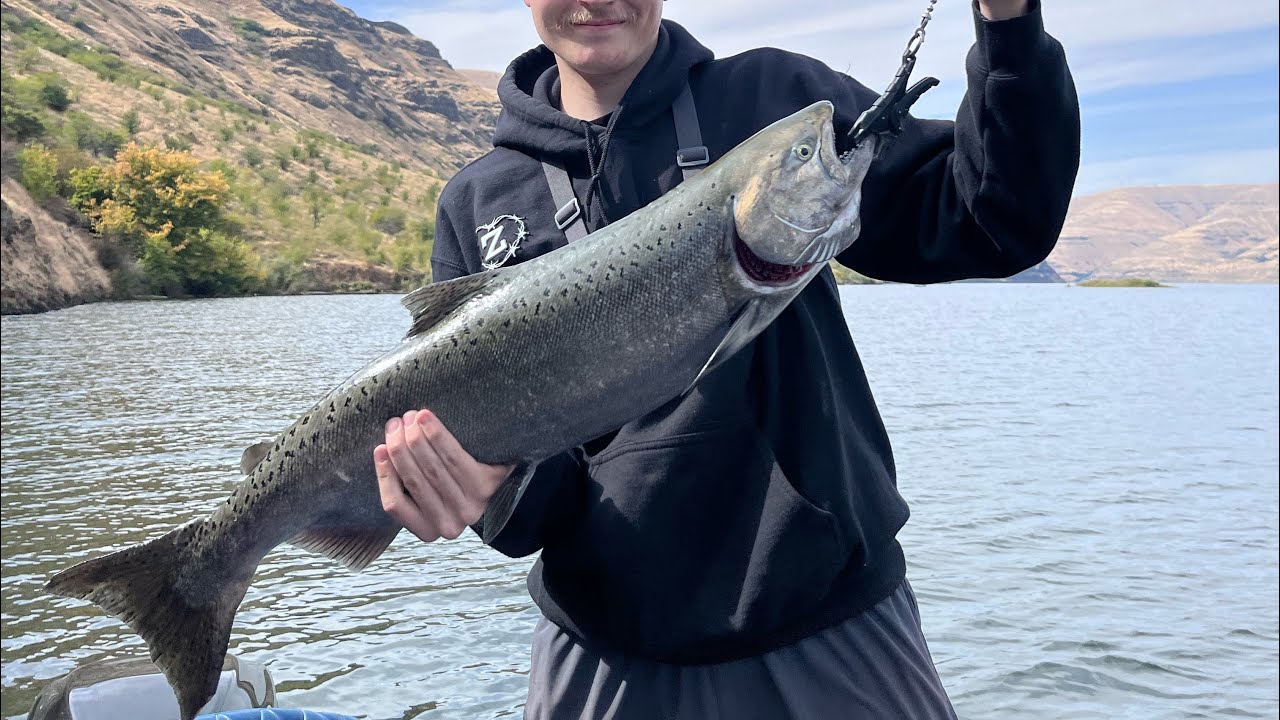 Accidentally catching a chinook salmon while bass fishing the snake river!
