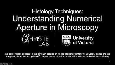 Understanding Numerical Aperture in Microscopy