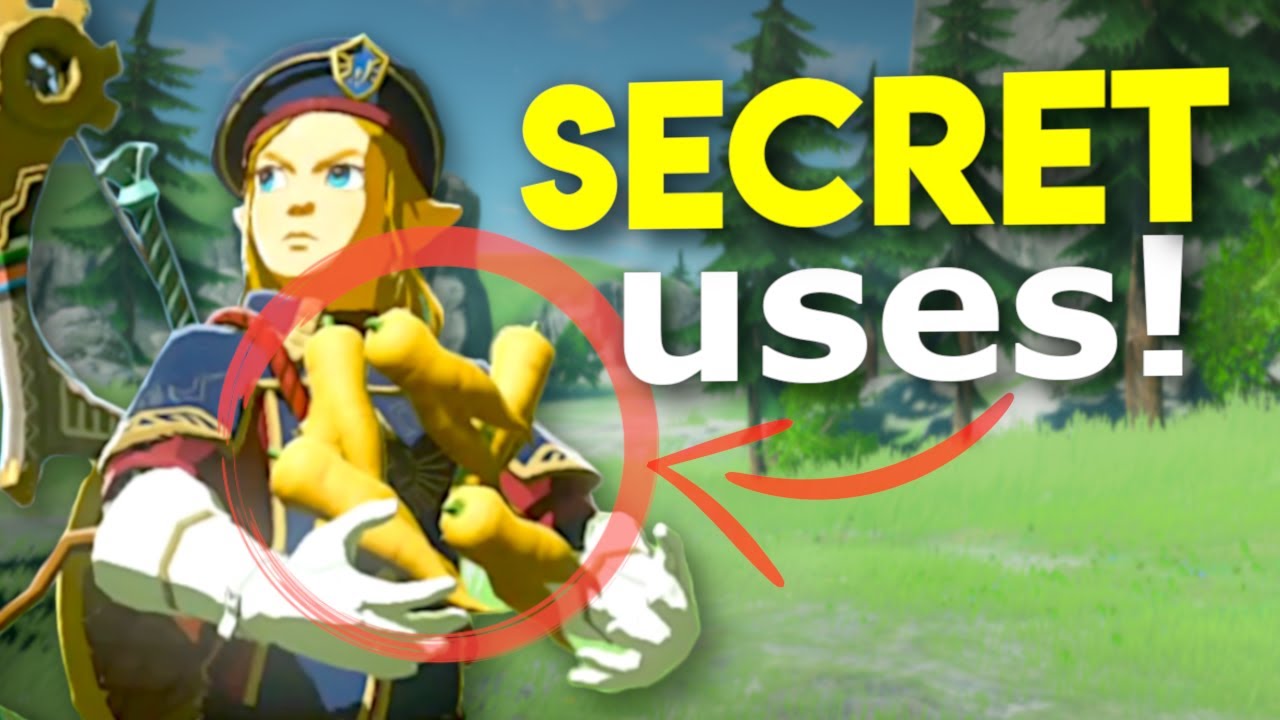 All SECRET Armor and Material Functions REVEALED in Breath of the Wild