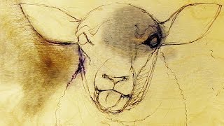 Drawing A Sheep On Plywood