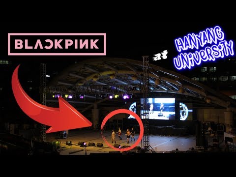 BLACKPINK В Моем Универе