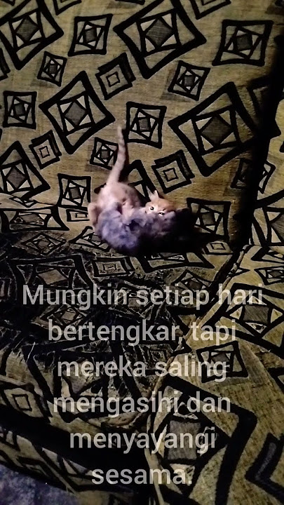 STORY WA / SATU NAMA TETAP DI HATI