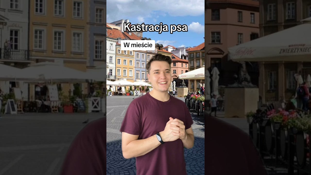 Co myślicie o kastracji psów? 🤔 