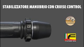 Cruise Control Per Moto Kaoko - Forbikes