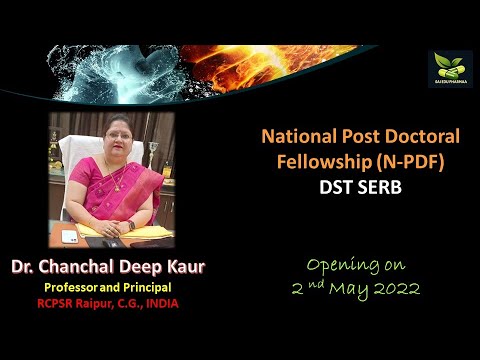 National Post Doctoral Fellowship (N-PDF) DST SERB