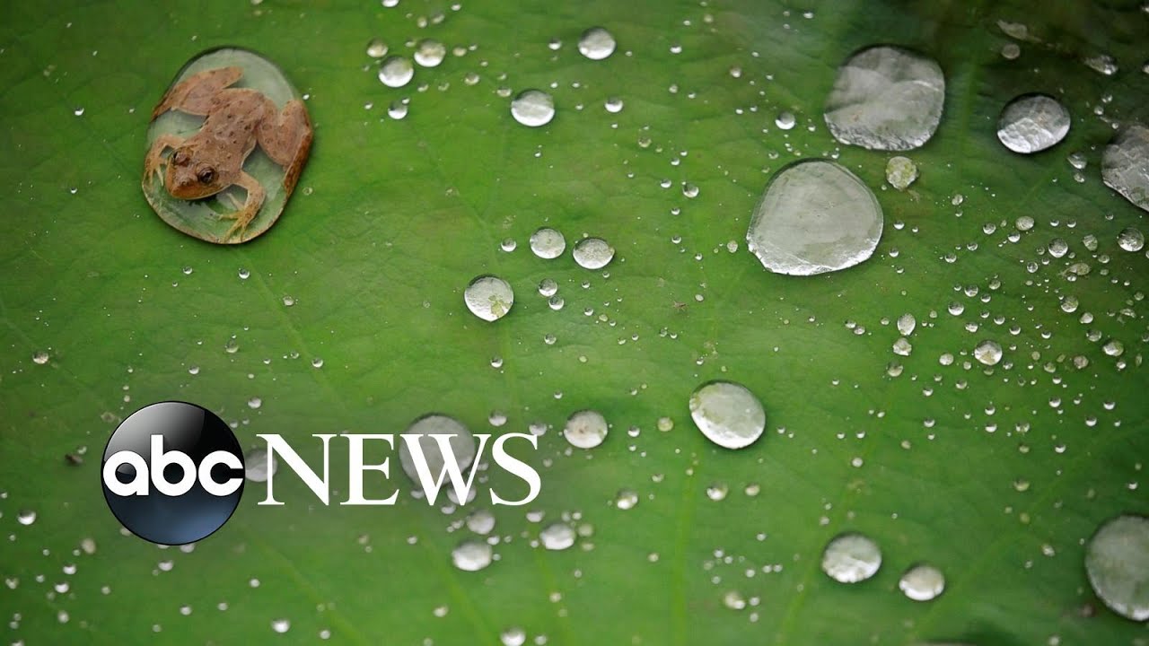 Duchess of Cambridge, President Trump, Rep. Adam Schiff: World in Photos, Sept. 26