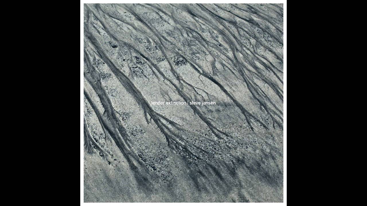 STEVE JANSEN / Tender Extinction 国内盤廃盤 STEVE JANSEN / Tender