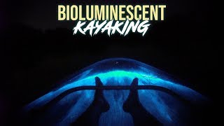Florida's Bioluminescent Kayaking in Clear Kayaks - Bioluminescent Bay