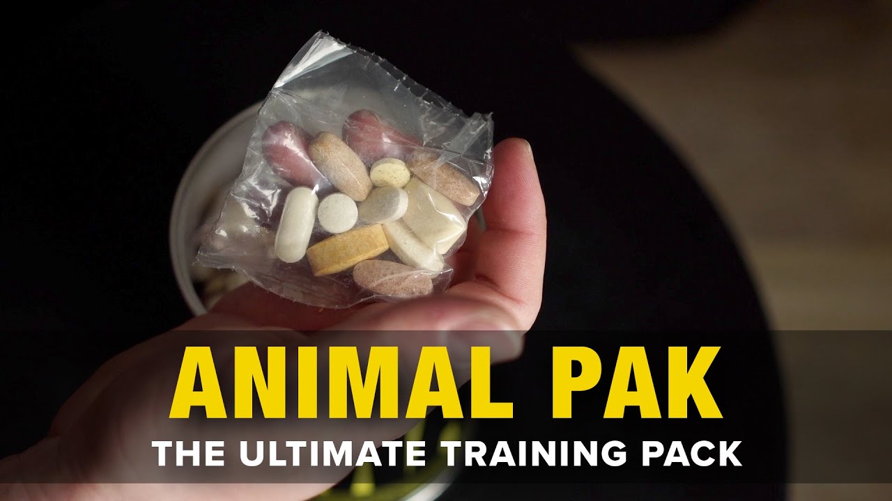 Animal Pak The Ultimate Training Pack YouTube