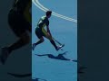 Tim Brand Goal