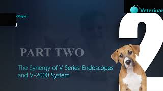 SonoScape V-2000 Endoscopy Solution