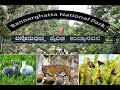 Bangalore Bannerghatta National Park and Zoo (Biological Park)