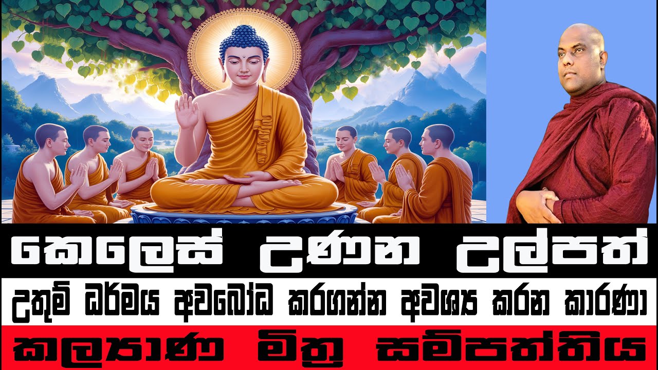 ආයතනයන්ගේ පහළවීම | Galigamuwe Gnanadeepa Thero 