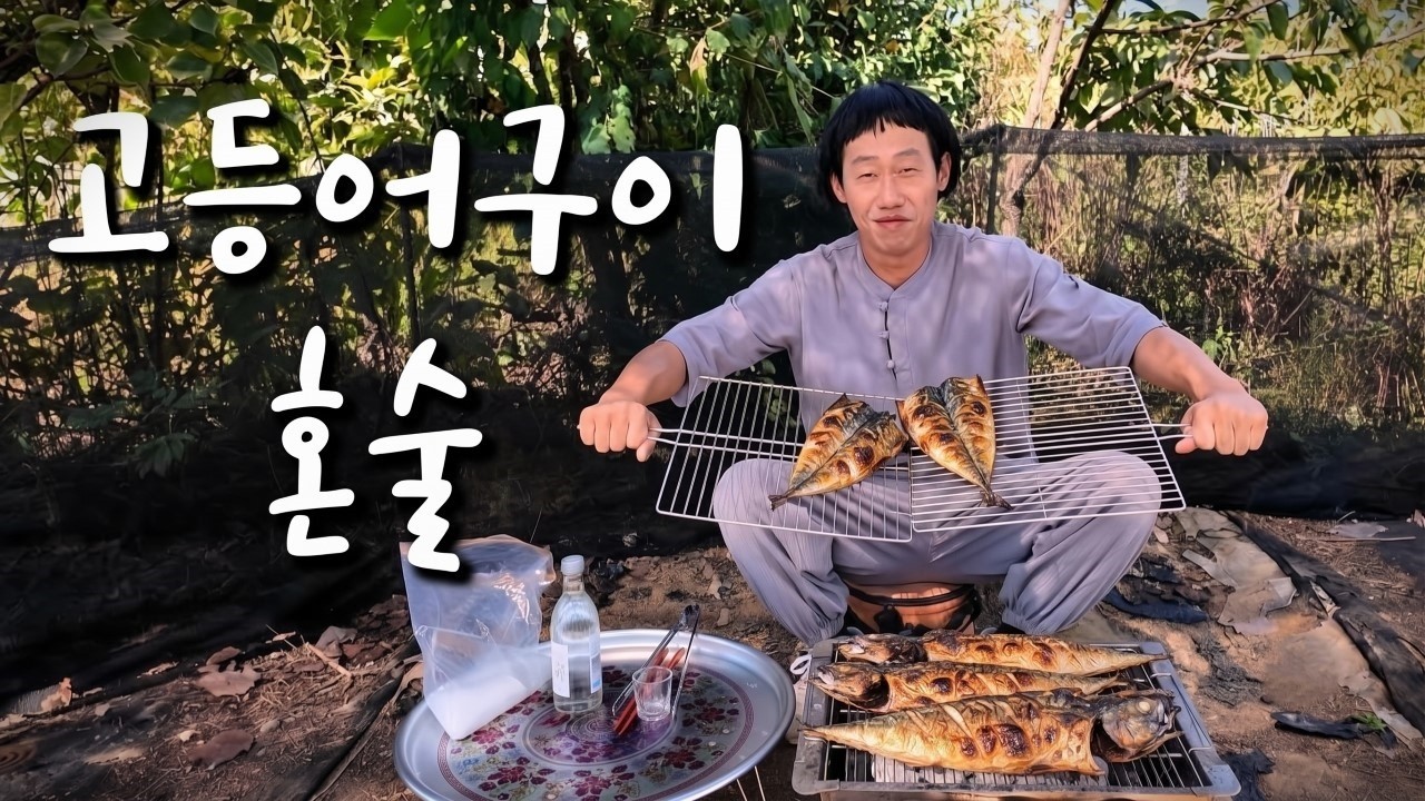 술먹는사마 고등어구이 술먹방 #평택 #시골먹방 #혼술 #b급감성 #거북섬
