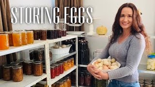 SHOULD I KEEP MY BACK YARD EGGS IN THE KITCHEN - Storing Eggs